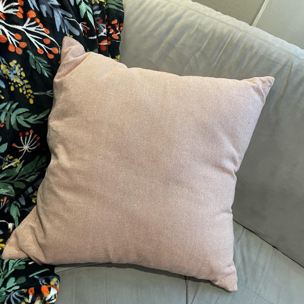 24x24 Threshold Throw Pillow - Light Pink